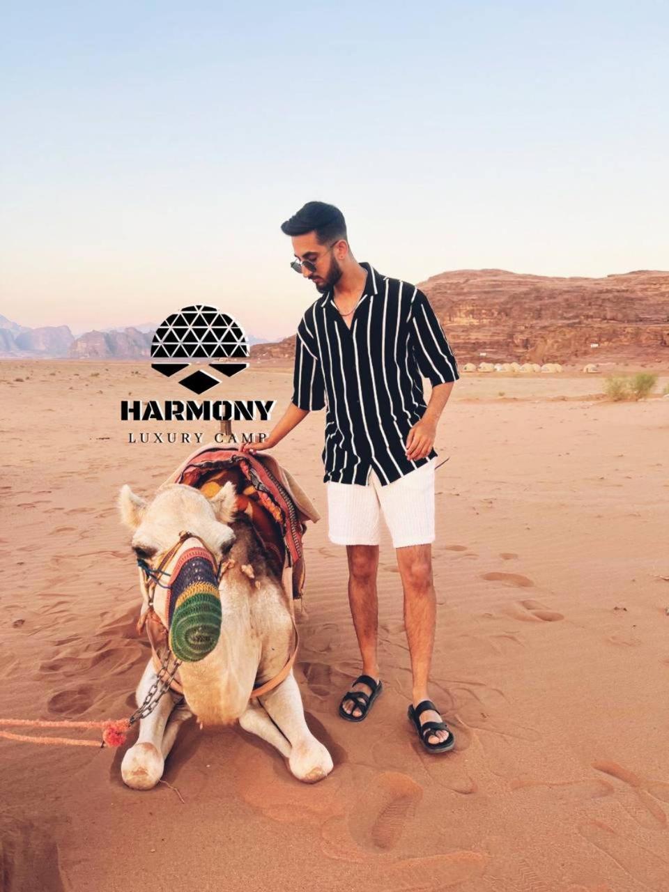 Harmony Luxury Camp Ξενοδοχείο Ουάντι Ραμ Εξωτερικό φωτογραφία